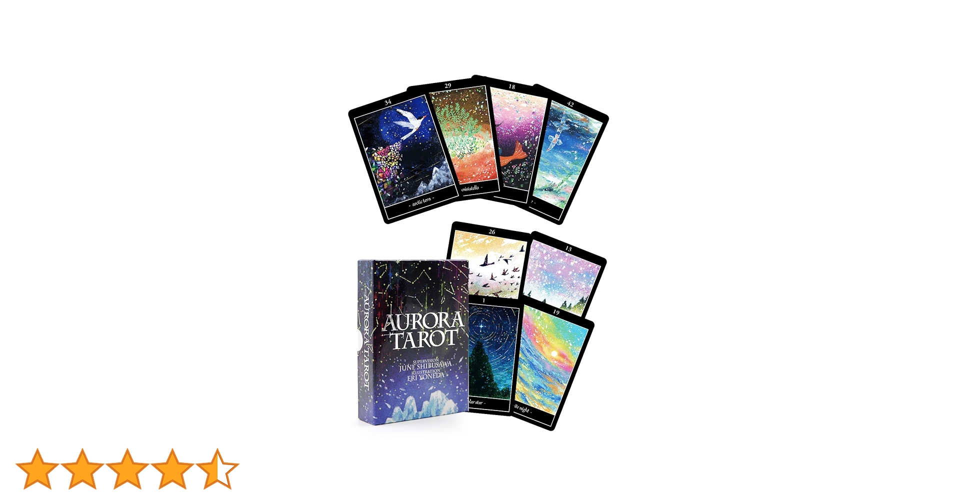 LSA Japan　ロタンシェル　カート・シュナウベルト博士の通信講座　極上美品 LSA Japan ロタンシェル カート・シュナウベルト博士の通信講座